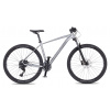4EVER 2025 VICTORY silver pearl / black 17