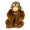 Rappa Plyšová opica orangutan 27 cm ECO-FRIENDLY