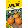 Tekvica okras. SM27 Yellowgirls F1 DEKORÁCIA na Halloween aj varenie 3g 9198