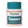 Himalaya Gasex - 100 tabliet