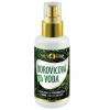 Purity Vision Borovicová voda BIO 100 ml