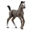 Schleich 13957 Zvieratko - Žriebä plemena Selle Français