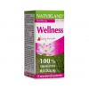 Naturland Éterický olej wellness 10 ml