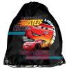 Vak na telocvik 38 x 34 cm PASO DC23CC-712 - Cars