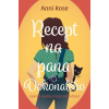 Recept na pana Dokonalého - Anni Rose