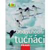 Obdivuhodní tučňáci edice čti+ - Frances Chan