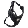Postroj ACTIVE DOG Mellow sivý M 1 ks