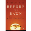 Before the Dawn