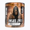 Fitness Authority pred tréningom Skull Labs Angel Dust 270 g liči