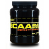 Best Nutrition BCAA 5000, 500 tabliet