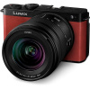 Panasonic Lumix DC-S9