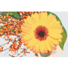 Vymalujsisam.sk Maľovanie podľa čísiel - Gerbera Veľkosť: 40x60cm, Rám: Bez rámu, iba zrolované plátno