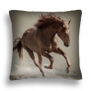 Vankúš - Vankúš + vložte 40x40 koňa 18 v cvalu (Vankúš + vložte 40x40 koňa 18 v cvalu)