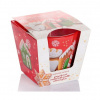 BARTEK Christmas Sweets Gingerbread Cookies With Vanilla Colored Glaze sviečka v skle, 115g, doba horenia 30 hodín