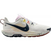 Trailové topánky Nike Pegasus Trail 5 dv3864-102 Veľkosť 42 EU | 7,5 UK | 8,5 US | 26,5 CM