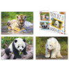 Efko Puzzle SET 3 - Mláďátka v ZOO