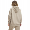 Under Armour UA Icon Fleece OS Hoodie 1379495-300