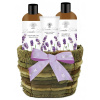 Aurora Lavender Fields - dámsky darčekový set 3ks