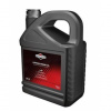 Briggs & Stratton SAE 30 5 l