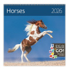 Nástenný kaledár Horses 2026