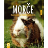 Morče