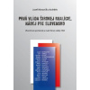 Prvá vláda širokej koalície, nádej pre Slovensko