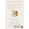 A Beautiful Question - Frank Wilczek
