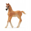 Schleich Horse Club Žriebä čistej arabskej krvi 13984