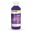 Plagron Sugar Royal objem: 100ml