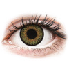 Alcon FreshLook One Day Color - dioptrické (10 šošoviek) Pure Hazel Dioptrie: -4.50, Zakrivenie: 8.6, Priemer: 13.80