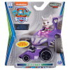 PAW Patrol - Kovové vozidlo a PSÍ PATROL SWEATHIE