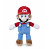 Plyšák Super Mario Plť 25cm