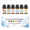 Fragrance Oil Esenciálne oleje 6 x 10 ml