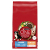 PUI PURINA One Junior Medium/Maxi Rich in chicken with rice - suché krmivo pre psov - 7kg