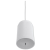 Omnitronic WP-10W
