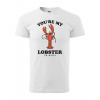 Tričkó Friends - You are my Lobster, Pánské, Slimfit, S