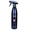 Foen Boss vôňa vo vnútri domu 500 ml (Foen Boss vôňa vo vnútri domu 500 ml)