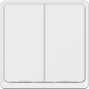 TESLA Smart Switch Dual TSL-SWI-WIFI2