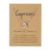 Girly Strieborný náhrdelník Zodiac Znamenia: Kozorožec N33/CAPRICORN