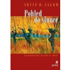 Pohled do slunce - Irvin D. Yalom