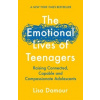 The Emotional Lives of Teenagers