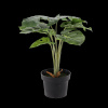 CHOMIK UMELÁ RASTLINA 42 CM *4900