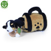 Eco-Friendly Bernský salašnícky pes v prepravke 15 cm