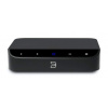 BlueSound Nano