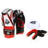 Boxingové rukavice DBX Bushido 407v2-Presentset 6 oz (Darček pre dieťa - darčeková súprava DBX 407V2)