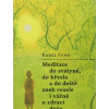 Meditace do svatyně do křesla a do deště aneb vesele i vážně o zdraví duše - Funk Karel