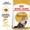 Granule pre mačky Royal Canin Persian Adult 10 kg