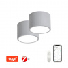 RONDATE SADA | IMMAX NEO | Sivé smart LED stropné svietidlo