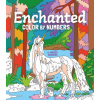 Enchanted Color by Numbers