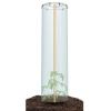 Prosperplast Pestovateľský set pre Tomato Grower Cap 38,5 cm IPOC400
